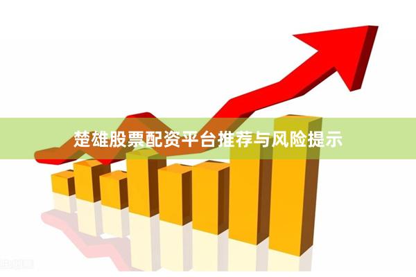 楚雄股票配资平台推荐与风险提示