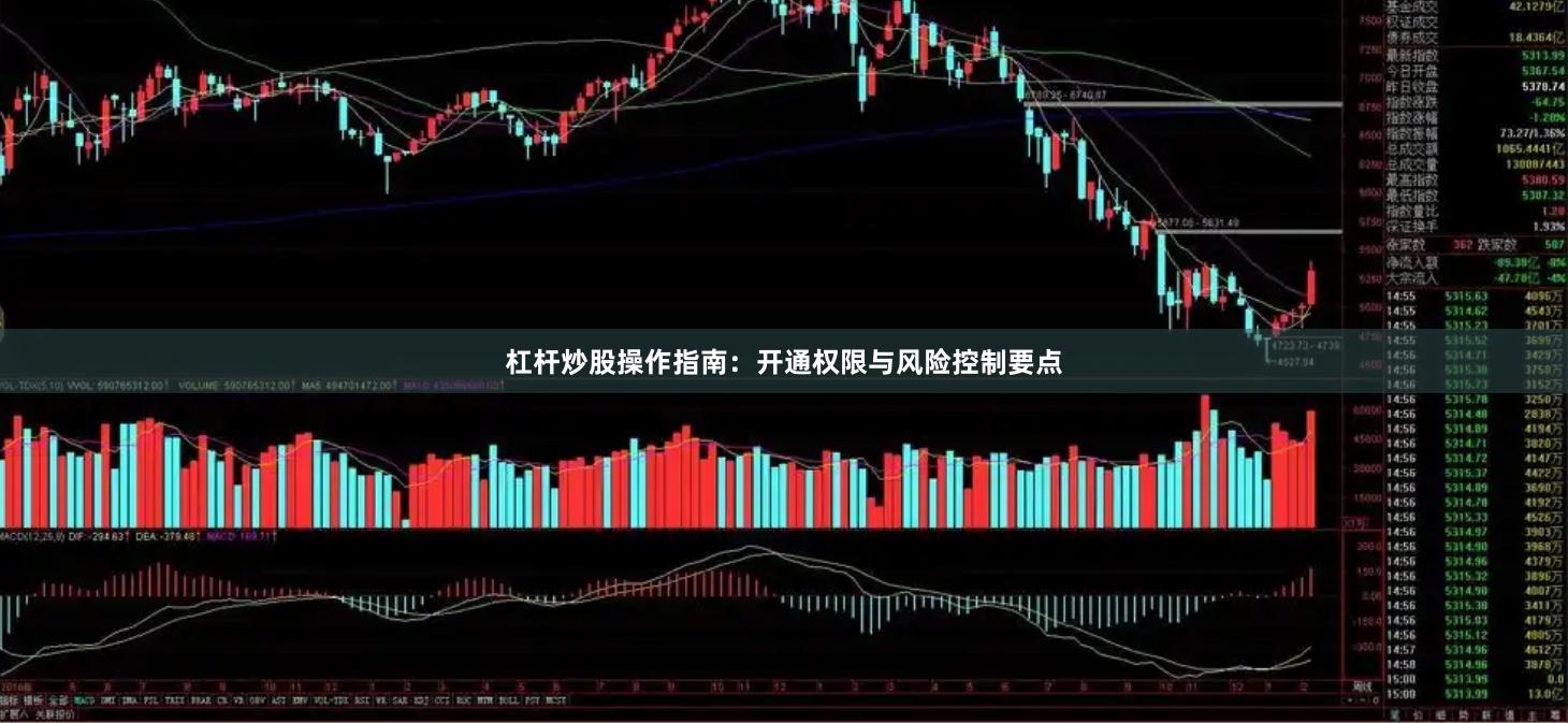 杠杆炒股操作指南:开通权限与风险控制要点